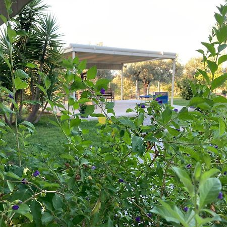 Gioia In Collina Bed & Breakfast Torrevecchia Teatina Exterior photo